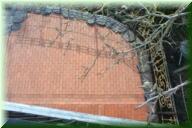 11_Terasse_Haus_II_EG_0043 